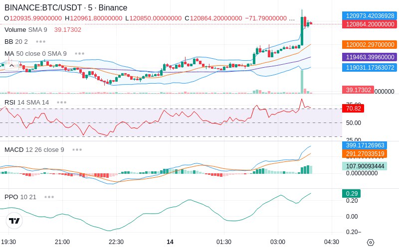 🚀 $TOMI SuperApp early access!