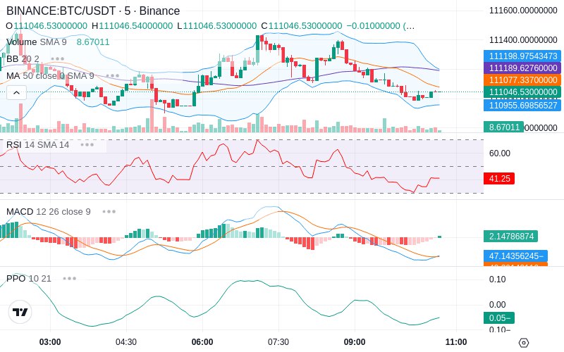 🚀 $TOMI SuperApp early access!