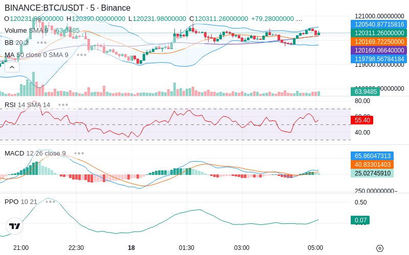 🚀 $TOMI SuperApp early access!