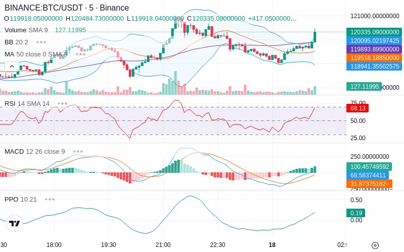 🚀 $TOMI SuperApp early access!