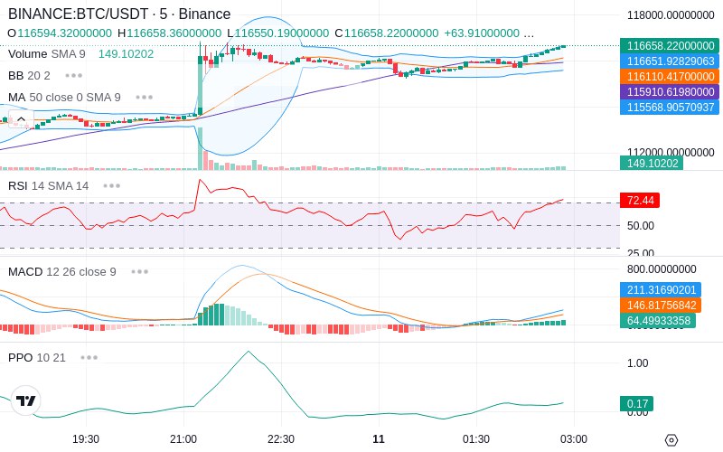 🚀 $TOMI SuperApp early access!