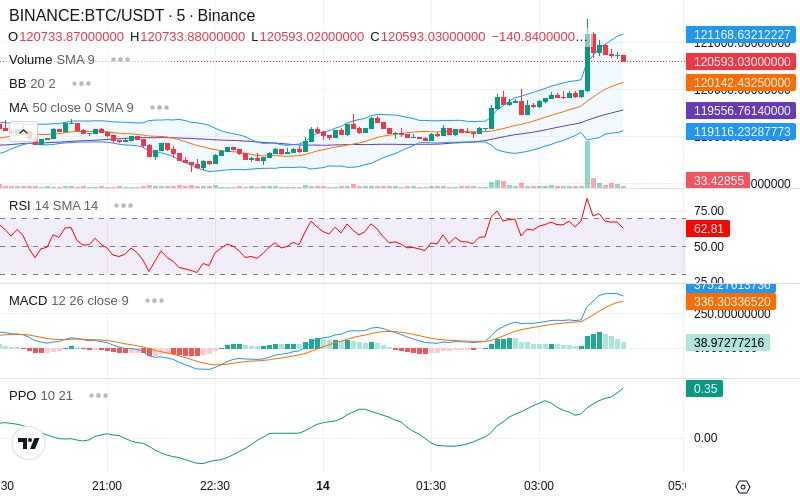 🚀 $TOMI SuperApp early access!