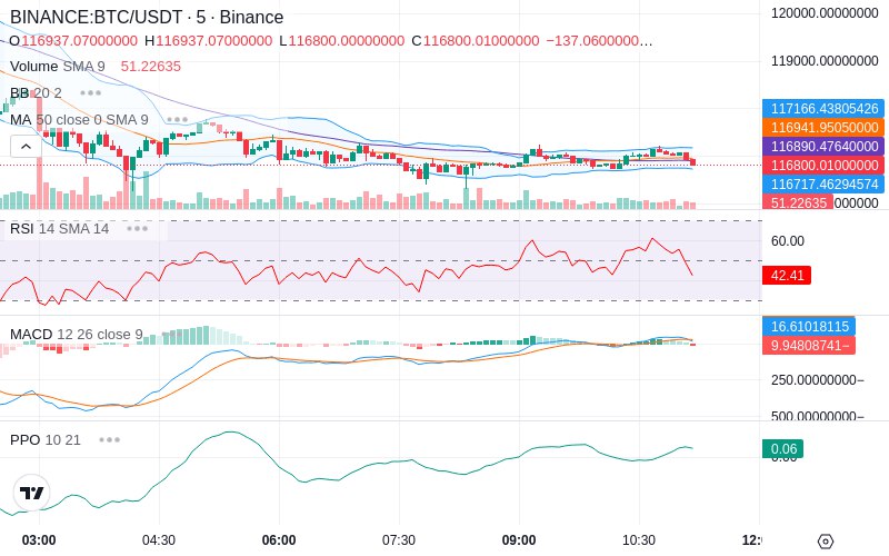 🚀 $TOMI SuperApp early access!
