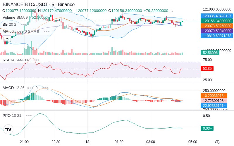 🚀 $TOMI SuperApp early access!