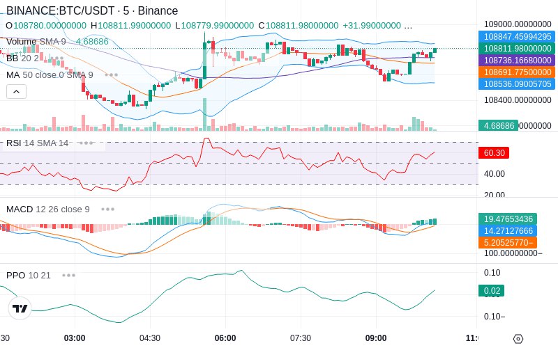 🚀 $TOMI SuperApp early access!