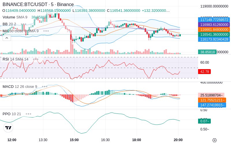 🚀 $TOMI SuperApp early access!