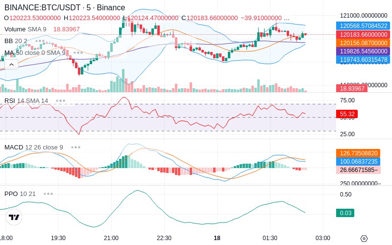 🚀 $TOMI SuperApp early access!
