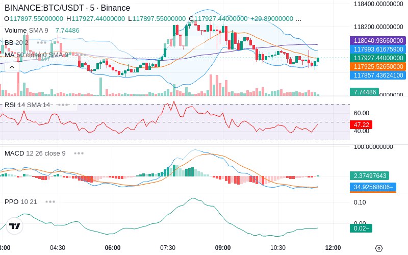 🚀 $TOMI SuperApp early access!