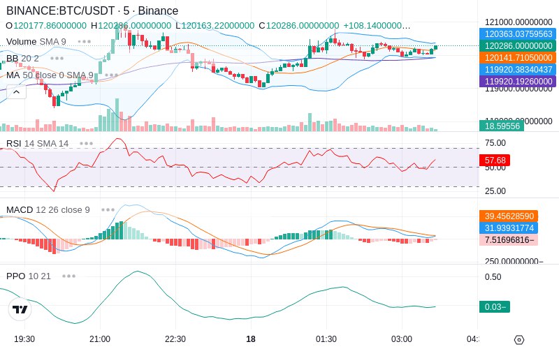 🚀 $TOMI SuperApp early access!