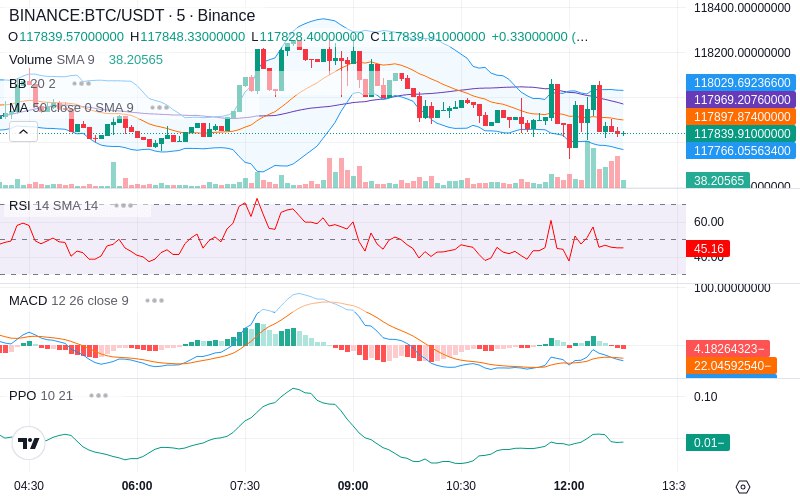 🚀 $TOMI SuperApp early access!