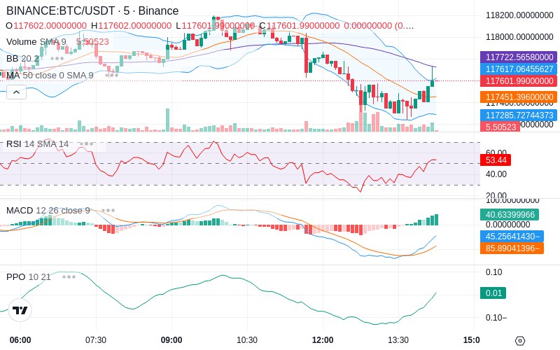 🚀 $TOMI SuperApp early access!