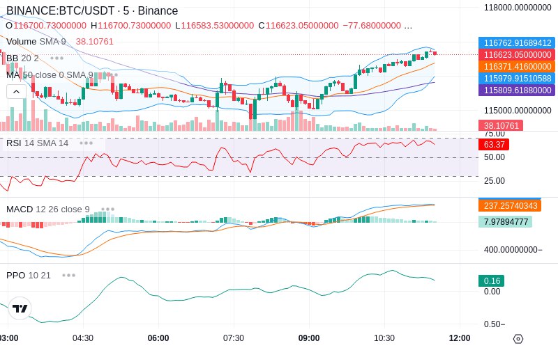 Leverage Your Profits🚀