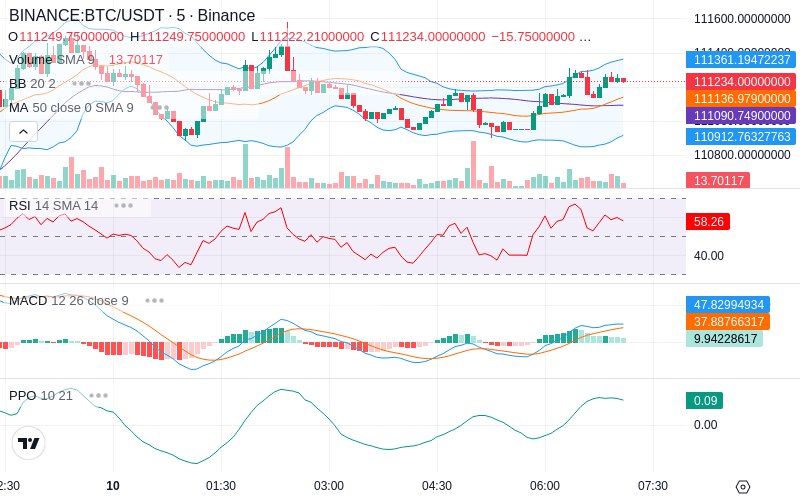 🚀 $TOMI SuperApp early access!