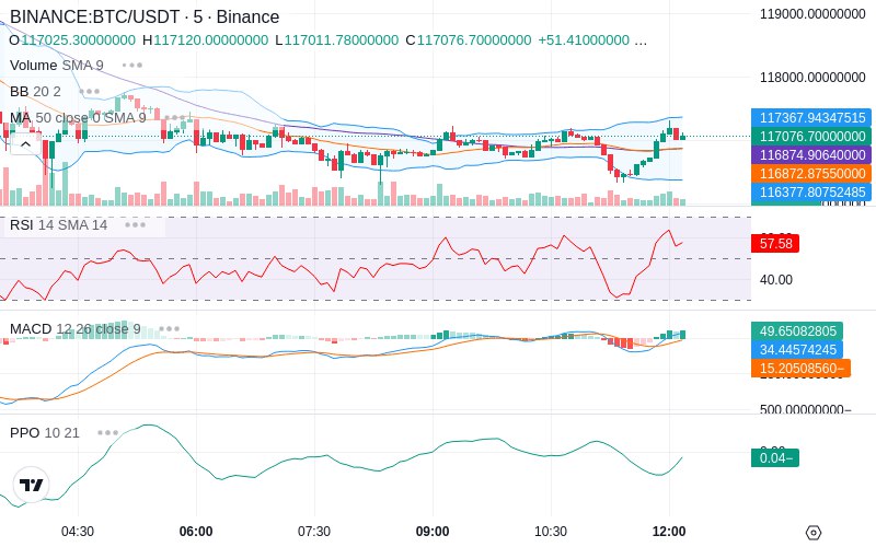 🚀 $TOMI SuperApp early access!