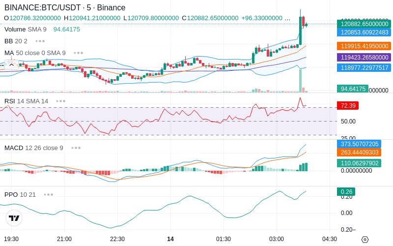 🚀 $TOMI SuperApp early access!