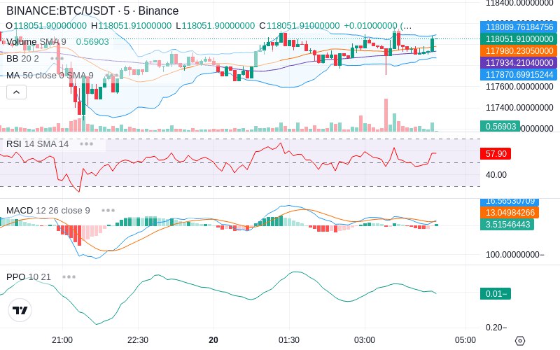 🚀 $TOMI SuperApp early access!