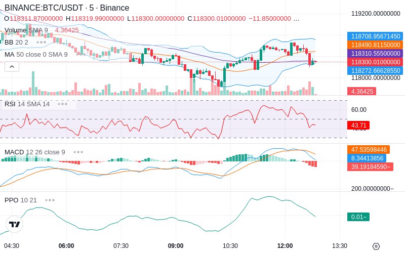 🚀 $TOMI SuperApp early access!