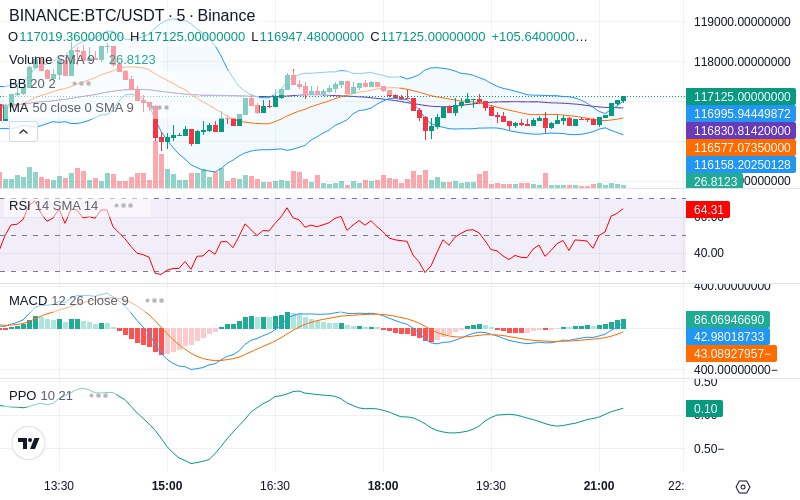 🚀 $TOMI SuperApp early access!