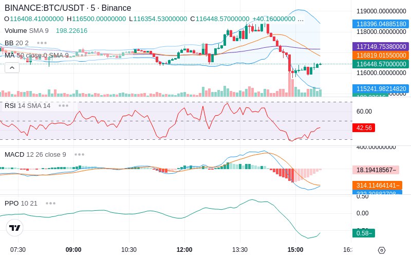 🚀 $TOMI SuperApp early access!