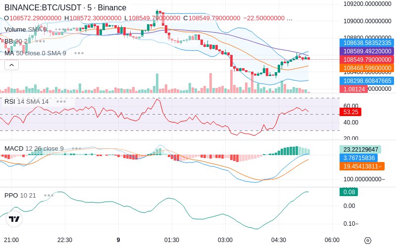 🚀 $TOMI SuperApp early access!