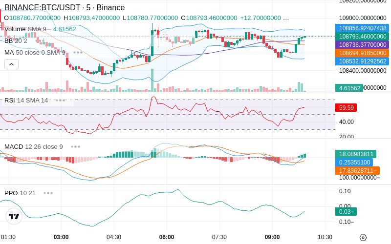 🚀 $TOMI SuperApp early access!