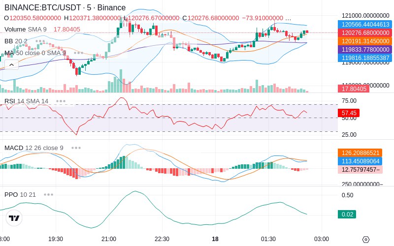 🚀 $TOMI SuperApp early access!