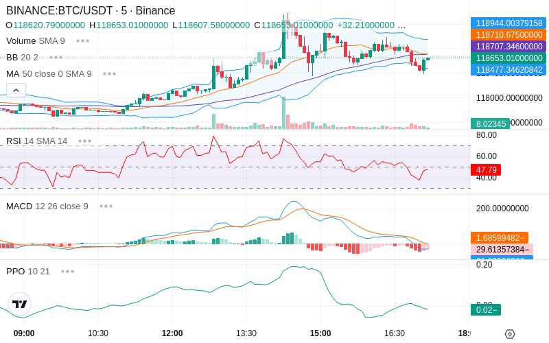 🚀 $TOMI SuperApp early access!