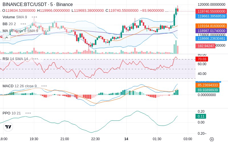 🚀 $TOMI SuperApp early access!