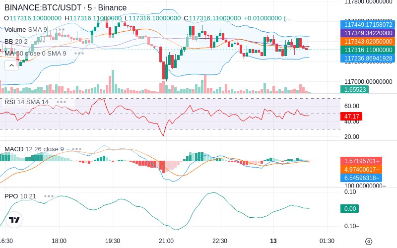 🚀 $TOMI SuperApp early access!
