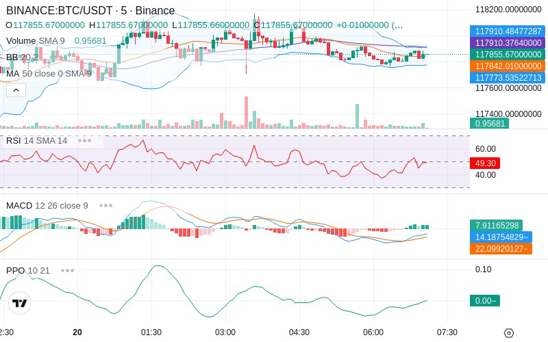 🚀 $TOMI SuperApp early access!