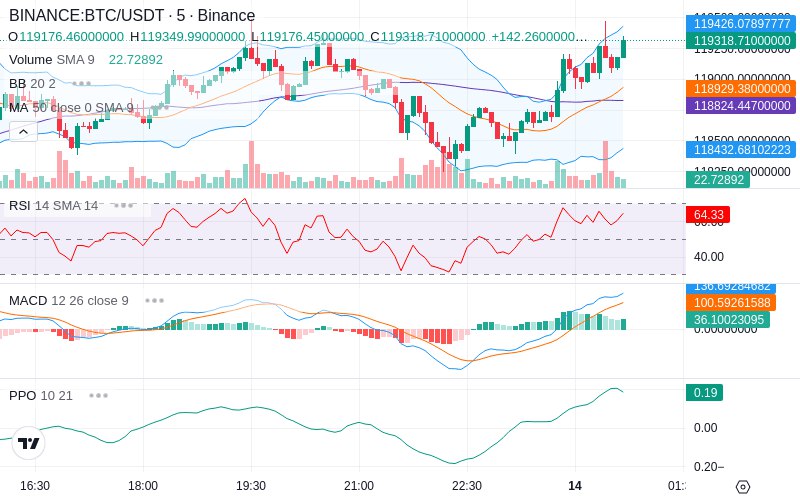 🚀 $TOMI SuperApp early access!