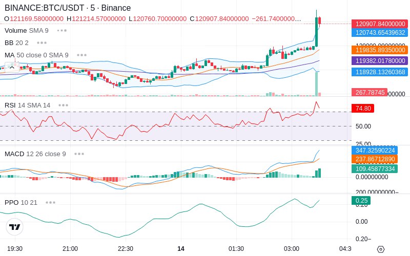 🚀 $TOMI SuperApp early access!