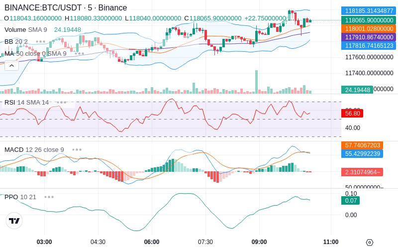🚀 $TOMI SuperApp early access!