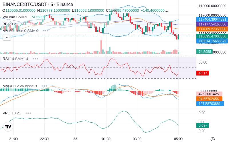 🚀 $TOMI SuperApp early access!